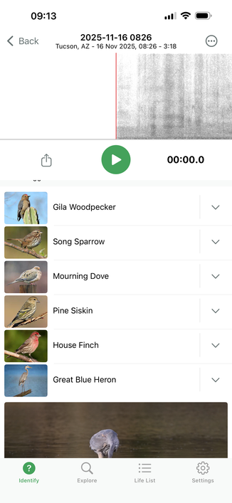 iPhone screen grab: birdsong IDs