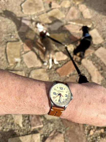 wristwatch selfie w/dachshunds