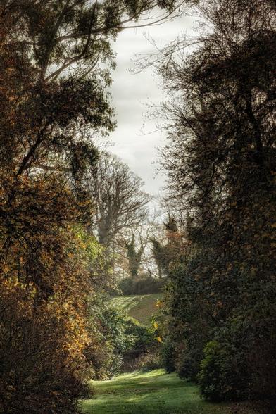 A vertical photograph of a natural path framed by dense, dark foliage and trees on either side, creating a tunnel effect. The path, covered in bright green grass, leads uphill towards a brightly lit clearing. Bare branches and a pale, overcast sky are visible through the opening at the top, contrasting with the rich, shadowed tones of the surrounding autumn and evergreen leaves.