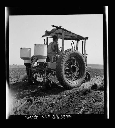 The photograph captures a black-and-white image of an individual operating a tractor equipped with a primitive seed drill system, commonly used in agriculture for planting seeds. The machinery is attached to the back end and features two large white cylindrical containers presumably holding seeds or fertilizer, positioned on either side of a central frame which seems capable of holding more supplies. A makeshift shelter appears atop part of this apparatus, providing some protection from elements like sun or rain.

The tractor itself has prominent black tires with deep treads, indicating that it is designed for off-road use in potentially rough terrain such as farmlands. The operator sits on the right-hand side and seems to be focused intently on their task, controlling the machinery's movement through what appears to be a field or cultivated land.

The ground shows evidence of plowing, with furrows indicating recent agricultural activity. In front of the tractor lies an iron implement that is used for tilling the soil before planting. The scene suggests historical context and possibly represents early 20th-century farming practices in America. There's visible text at the bottom which seems to be a reversed watermark or signature, likely related to the photographer or archive where this image resides.

Overall, it provides an intimate glimpse into agricultural life from what could be mid-1930s rural Texas during The Great [...]