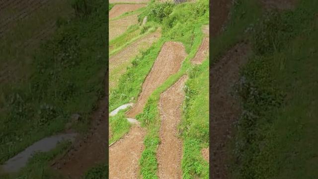 浜野浦の棚田 佐賀県玄海町
