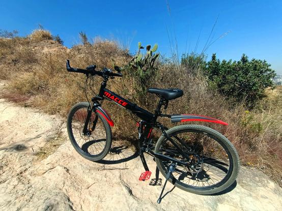 a photo of my bike standing on a climb in a hill in front of a nopal cacti and other bushes.