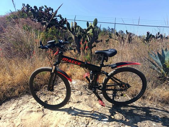 another photo of my bike in front of another nopal cacti.