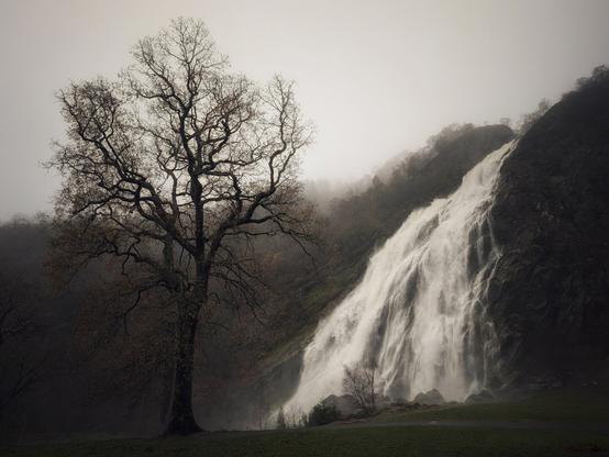 A dramatic, moody landscape photo of a tall, powerful waterfall cascading down a steep, dark, tree-covered hillside on a misty day. In the foreground, a large, bare-branched deciduous tree stands prominently on a patch of grassy ground, silhouetted against the bright spray of the water. The overall tone is dark, atmospheric, and melancholic, conveying the raw power of nature in a damp, wintry setting.