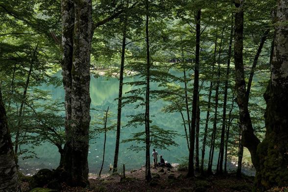 Two human silhouettes among the trees by a lake in a green light