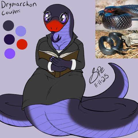 a nerdy female anthro eastern indigo snake holding a book