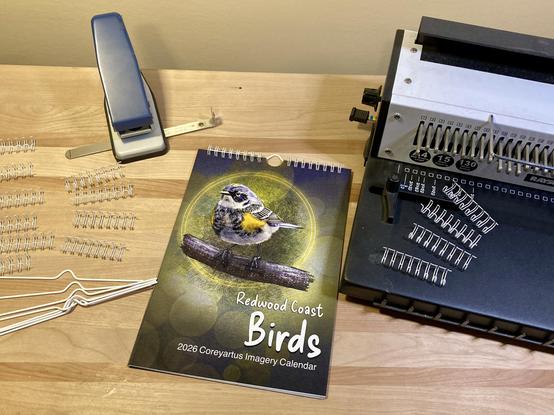 Photo of a prototype calendar for Birds posted on a wooden plank surrounded by a whole punch and wires. Dominant colors are browns, yellows, and blacks.