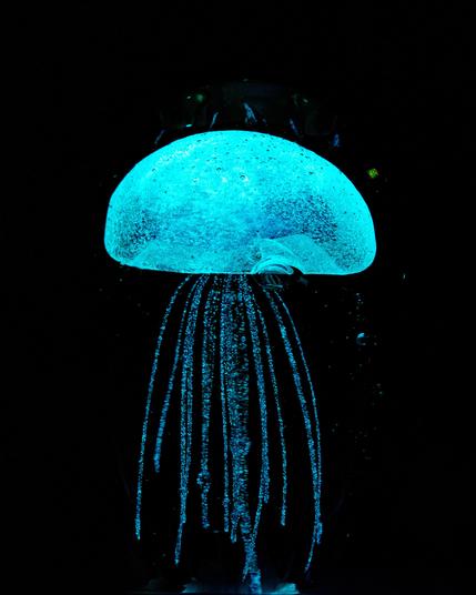 A jelly fish shape that has a blue green phosphorescence glow