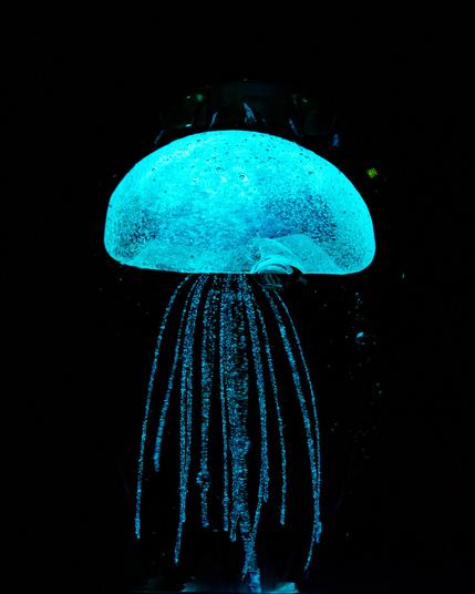 A jelly fish shape that has a blue green phosphorescence glow
