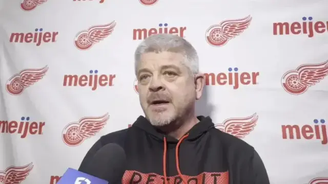 Red Wings defenseman's decisions 'make no sense' to head coach Todd McLellan