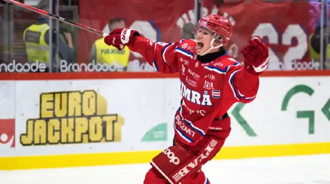 Red Wings prospects standing out in the SHL and emerging as a top talent