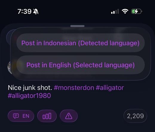 Language detection gone wrong. “Nice junk shot” was detected as Indonesian.