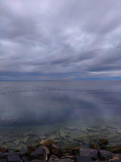 Blick von Romanshorn Hafen Richtung Osten über den Bodensee, geschlossene, dramatische Wolkendecke, rechts dunkelblau das andere Ufer verschluckend, links mit dunkleren Einschlüssen, darunter der Uferstreifen, das ruhiges Wasser spiegelt den Himmel verwaschen, klein die Leuchtturmdalbe links, in der Bildmitte auf dem Wasser ein Streifen mit Enten von der einen bis zur anderen Seite des Bildes, im Vordergrund gelbgrüne Steinblöcke der Uferbefestigung im klaren blau-grünen Wasser