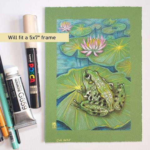 A small colour drawing of a green frog sitting on a lily pad. The drawing depicts the frog and the pond with the waterlilies stretching into the background.
An original art work, please note that the frame is not included.
Colour pencil and mixed media on acid free toned artist paper
5 by 7 inches (12.7 by 17.8 cm).