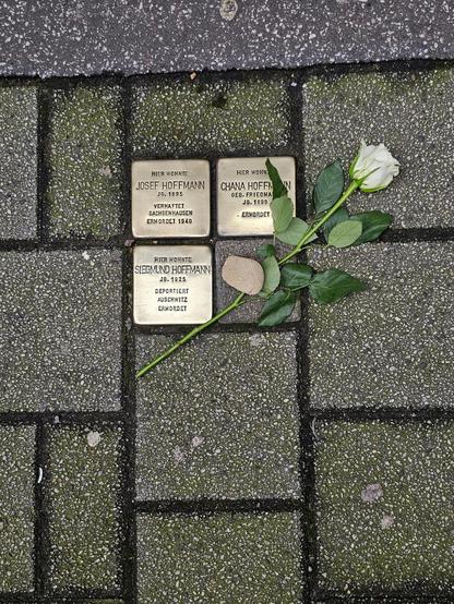 Photo von 3 Stolpersteinen mit einer Rose und einem Stein 
HIER WOHNTE
JOSEF HOFFMANN
JG.1895
VERHAFTET SACHSENHAUSEN ERMORDET 1940
HIER WOHNTE
CHANA HOFFMANN 
GEB. FRIEDMA 
JG.1899
ERMORDET 
HIER WOHNTE 
SIEGMUND HOFFMANN 
JG. 1925
DEPORTIERT 
AUSCHWITZ 
ERMORDET