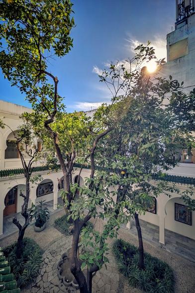 A high-angle photo of a stunning, bright white courtyard bathed in sunlight, which flares brightly from the upper right corner. The courtyard features white arches and green tilework around the perimeter, framing the central space. Several small, gnarled trees with lush green leaves and small yellow tangerine fruit dominate the center. The ground is paved with patterned stone, and the scene is tranquil and architectural.