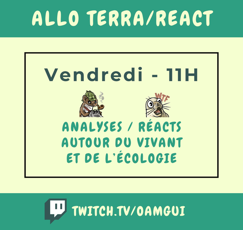 Visuel pour annoncer un live sur la chaîne Twitch de OamGui.  Haut de l’image : Bandeau vert avec texte en lettres majuscules claires : « Allo Terra/React ». Centre de l’image : Fond clair avec un cadre vert foncé. Dedans on peut lire en haut, écrit en vert foncé : "Vendredi - 11H", puis en-dessous en vert clair : "Analyses / Réacts autour du vivant et de l'écologie". Au milieu des deux textes, on voit deux emotes de la chaîne twitch : une fouine écrivant sur un carnet de note à gauche et un phoque surpris avec les lettres WTF à droite.  Bas de l’image : Bandeau vert foncé avec le logo Twitch à gauche et l’adresse de la chaîne en lettres majuscules : TWITCH.TV/OAMGUI