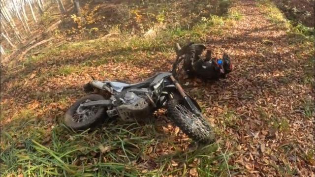 2025/11/15山形県白鷹町お山遊び3