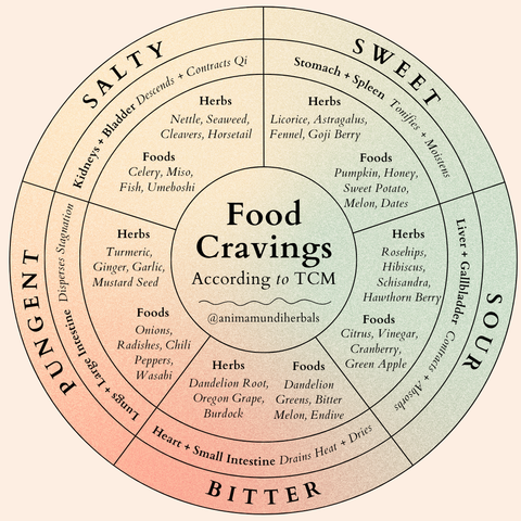 A food cravings wheel showing the relationship between certain organs and food craving types. Art by Anima Mundi Herbals.