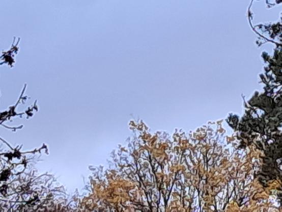 Blick in den Wolken verhangenen Himmel, über den Wolken, flog eben eine Gruppe Kraniche