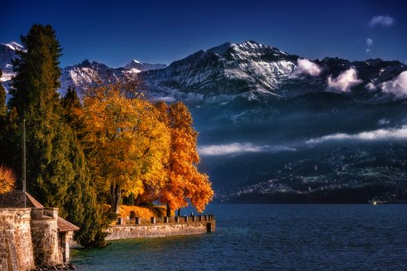 Eine Herbstszene am Ufer eines Sees. Im Vordergrund dominiert links ein historisches Uferbauwerk, das in eine Mauer übergeht. Direkt dahinter leuchten die Blätter von zwei grossen Laubbäumen in intensivem Goldorange und Gelb, umrahmt von dunklen Nadelbäumen. Die Ufermauer erstreckt sich nach rechts bis ins Wasser. Im Hintergrund erheben sich majestätische, dunkelblau bis graublau gehaltene Berge mit schneebedeckten Gipfeln unter einem tiefblauen Himmel. Dunst oder Wolken umhüllen die unteren Hänge der Berge. Rechts auf dem See ist ein Segelboot als winziger Akzent erkennbar.