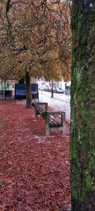 Foto einer nassen Sitzbank am Straßenrand. Braune Laubblätter liegen am feuchten Boden.
