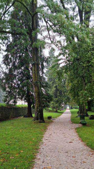 Kiesweg, von hohen Bäumen umrahmt. Es ist feucht.