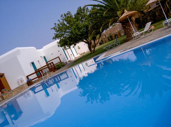 A tranquil pool area with bright blue water reflecting nearby white buildings and greenery. Palm trees and lounging chairs are visible around the pool, creating a relaxing atmosphere.