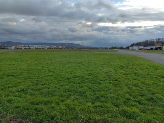 Ein Blick auf das Flughafengelände. Es handelt sich hier um einen Sportflughafen, der von einer Fliegergruppe mit ca. 300 Mitgliedern, etwa 180 davon aktiv genutzt wird. Hier gibt es keine Millionäre mit ihren Flugzeugen, sondern Schüler, die ihr Taschenged verfliegen. Zu sehen ist eine Wiese. Auf dieser Wiese lebt eine Insektenvielfalt, die ansonsten nur noch selten zu finden ist. Die Wiesen werden selten gemäht und dann auch nur nach und nach, sodass immer ein Teil stehenbleibt. Abgemähtes wird als Pferdeheu weiterverwendet. Zusammen mit dem Burgerwaldsee bildet es einen der letzten intakten Biotope der Region, um ähnlich ökologisch intakte Flächen zu finden, muss man tatsächlich sehr weit fahren...