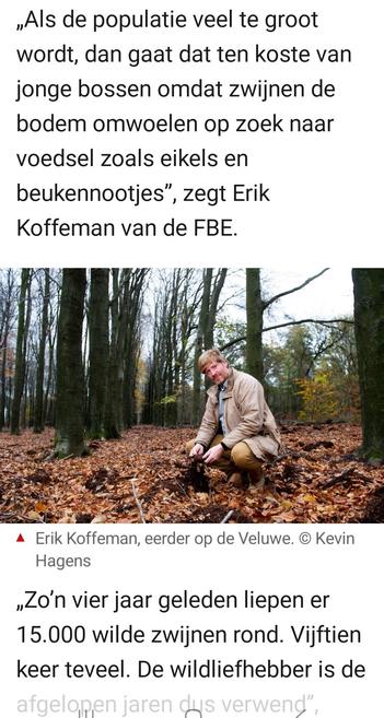 Foto in een AD artikel waarin een jager op zijn hurken in het bos zit. De jager in kwestie heet Erik Koffeman en is van een Fauna Beheer Eenheid.
Met Beheer wordt overigens Doden bedoeld.