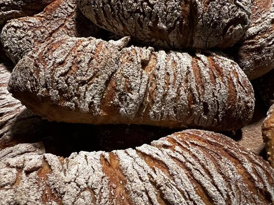 Auf einem dunklen Holztisch liegt ein Holzbrett. Darauf liegen zahlreiche frisch gebackene Brötchen
