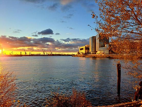 Blick vom Baakenhöft über die Elbe auf die Hafencity Hamburg in der Abendsonne mit Herbstfarben.