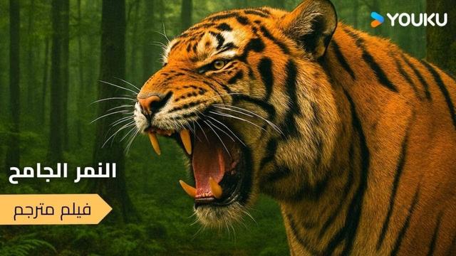 فيلم النمر الجامح في المدينة المهددة | Mutant Tiger على YOUKU MOVIE