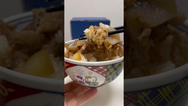 🍚Hello Kitty Beef Bowl Donburi Japanese Pottery Arita Ware #shorts