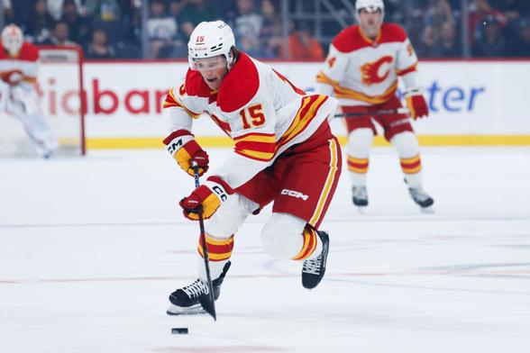 Calgary Flames Recall Dryden Hunt