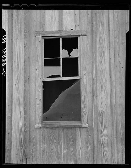The image is a black and white photograph depicting the broken window of an old wooden shack. The structure appears to be weathered, with vertical planks showing signs of wear and aging. One particular section around the window shows significant damage; it has crumbled away, leaving jagged edges where glass once was but now lacks any pane or barrier. There's a rough texture visible in the woodwork that indicates neglect over time. The photograph is labeled "Dorothea Lange," hinting at its historical context and possibly referencing her work during the Great Depression era documenting American life, particularly focusing on poverty-stricken rural communities such as Texas' agricultural regions where tenant farmers lived under difficult conditions.