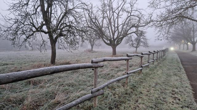 Ein Holzzaun entlang einer Wiese, auf der mehrere Bäume stehen. Rechts neben dem Zaun verläuft ein Rad und Fußweg. Der Zaun, das Gras und die Bäume sind von Frost überzogen. Der Hintergrund verschwimmt in Nebel. Aus diesem leuchtet entfernt das zerstreute Licht eines entgegenkommenden Fahrrads.