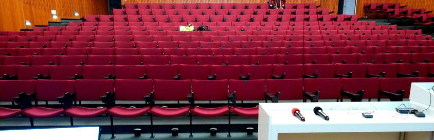 Auditorium des DESY: rote Bestuhlung, etwas staubiges Ambiente; irgendwo auf den vielen (noch) leeren Plätzen hat sich Max, das bunte Strickhorn, versteckt.