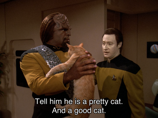 Screenshot from Star Trek: The Next Generation Season 7 Episode 6: Phantasms. Data and Worf are in Data's quarters, with Worf holding Data's cat spot outstretched in front of him. Data tell's Worf: "Tell him he is a pretty cat. And a good cat." as one must to their cat.