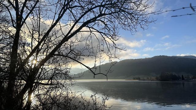 Looking past a leafless tree to a lake with a few ripples. The sky is blue with puffy clouds and dark forested hills are on the horizon.