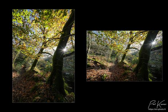 Diptyque sur fond noir de deux photos, pratiquement similaires à part leur format, portrait puis paysage.
Sur les photos, le photographe est sur un petit chemin dans un sous-bois à flanc de coteau dans un petit vallon alors que le soleil va disparaître derrière le versant opposé. 
Du fait du format, on voit davantage sur la première photo la ramure des arbres aux couleurs d'automne alors que sur la seconde photo, on voit plutôt le sol avec notamment les feuilles tombées des arbres, quelques mousses sur des souches à gauche. 
Sur le côté droit des deux photos,on voit un muret, que longe le chemin et où se trouve, notamment le tronc d'un chêne au bord duquel le photographe a placé le soleil couchant, générant volontairement une étoile à 10 branches en traversant les lentilles de l'objectif.