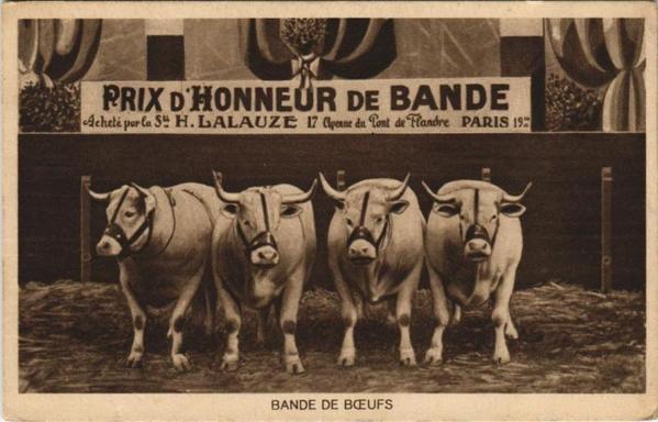 Bande de Boeufs à #Paris19 (#Paris)  Prix d'honneur de bande acheté par la société H. Lalauze 17 avenue du Pont de Flandre Paris 19e #CartePostaleAncienne 👉 https://cartorum.fr/carte-postale/900791/paris-19e-bande-de-boeufs