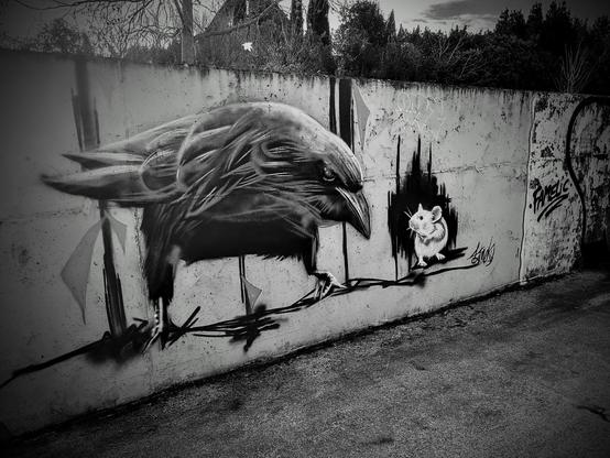 Foto in B&N: Un graffito in stencil che mostra un corvo in primo piano, che minacciosamente guarda un piccolo topo bianco intimorito dalla sua grandezza.