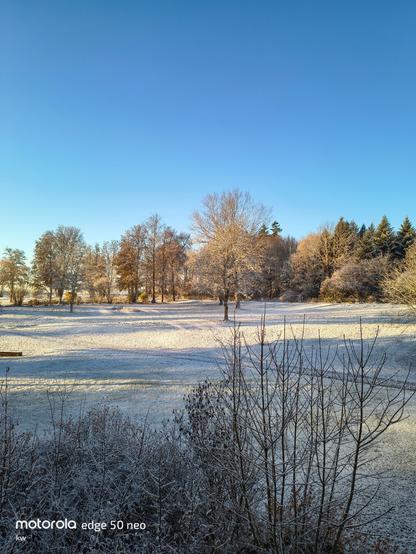 Ein strahlendblauer Himmel, kahle Bäume und eine leicht schneebedeckte Wiese. Sonnenstrahlen auf Wiese und Bäume.