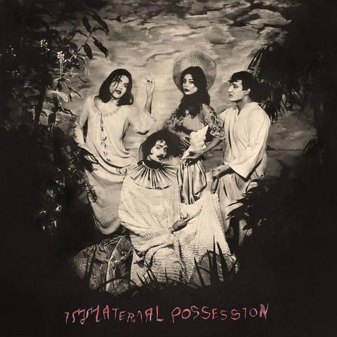 Cover of Immaterial Possessions' self-titled debut album