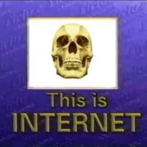 Image of a skull captioned "This is INTERNET"