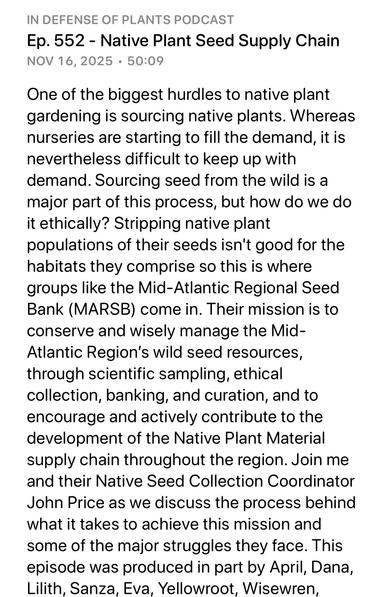 Podcast: In defense of plants
Date: Nov 16, 2025

Ep. 552 - Native Plant Seed Supply Chain
One of the biggest hurdles to native plant
gardening is sourcing native plants. Whereas
nurseries are starting to fill the demand, it is
nevertheless difficult to keep up with
demand. Sourcing seed from the wild is a
major part of this process, but how do we do
it ethically? Stripping native plant
populations of their seeds isn't good for the
habitats they comprise so this is where
groups like the Mid-Atlantic Regional Seed
Bank (MARSB) come in. Their mission is to
conserve and wisely manage the Mid-
Atlantic Region's wild seed resources,
through scientific sampling, ethical
collection, banking, and curation, and to
encourage and actively contribute to the
development of the Native Plant Material
supply chain throughout the region. Join me
and their Native Seed Collection Coordinator
John Price as we discuss the process behind
what it takes to achieve this mission and
some of the major struggles they face. This
episode was produced in part by April, Dana,
Lilith, Sanza, Eva, Yellowroot, Wisewren,