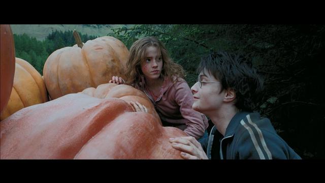 Harry Potter and the Prisoner of Azkaban (2004)