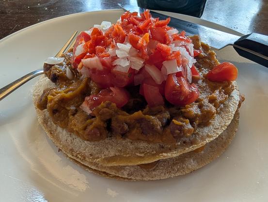 A small stack of corn tortillas and stewed beans and squash. Topped with red and white tomatoes, peppers and onions.