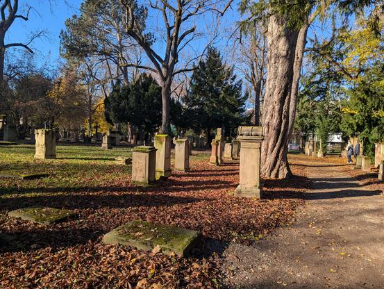 Parkähnlicher Friedhof mit alten Stein-Grabmälern auf Gradboden und einige. Bäumen.